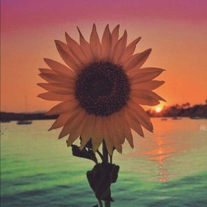 Meet your Posher, Eva